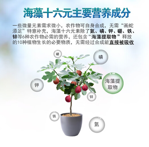 Seaweed sixteen-element foliar fertilizer for fruit trees, vegetables and flowers to take root, strengthen seedlings and expand fruit, nitrogen, phosphorus, potassium, boron, zinc, iron, water-soluble fertilizer, Australian brand 1350g*12 bottles