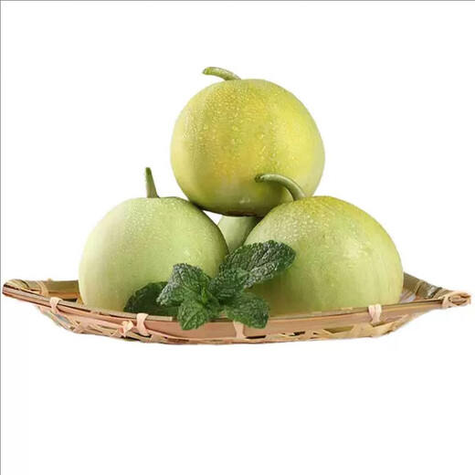 Xiangbin Japanese Sweet Treasure Melon Seeds Extra Large Authentic Spring Season Fruit Seeds Super Sweet Watermelon Muskmelon Seeds Japanese Sweet Treasure Seeds 100 original x2 packs