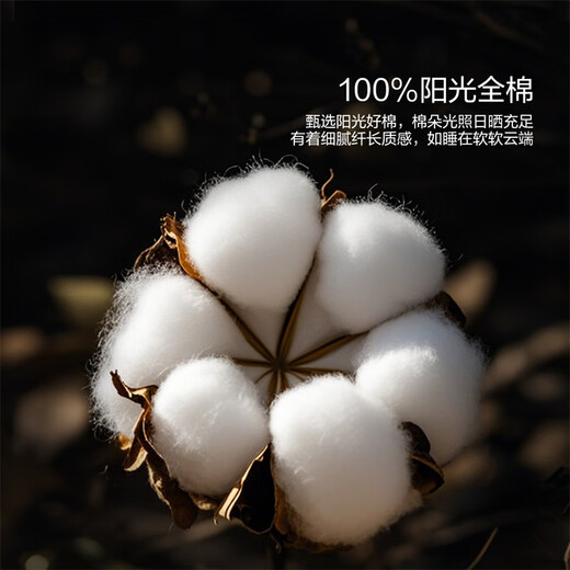 Mercury Home Textiles four-piece bed jacquard sheets light luxury high-end four-piece set single and double quilt covers pillowcases 1.8m bed Milan