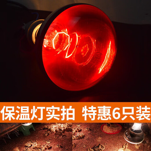 Yanmeng Insulation Lamp Farm Special Pig Breeding Chick Heating Lamp Piglet Rutin Chicken Warming Baking Lamp Bulb Warming Lamp Special Offer 6pcs Upgraded White Glossy 100W