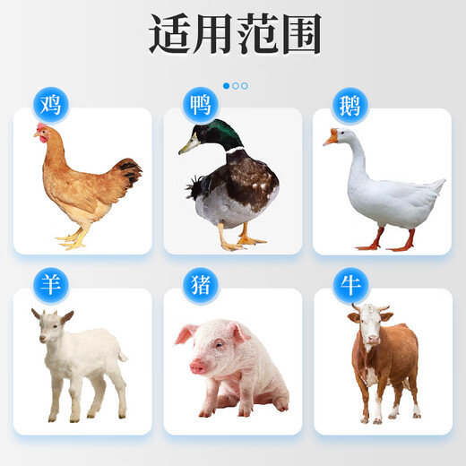 Nanhua Qianmu Veterinary Electrolytic Multi-dimensional Pigs, Chickens, Ducks and Goose supplement trace elements, vitamins, multi-dimensional electrolyte feed additives, Livestock and Poultry Electrolytic Multi-dimensional 500g*1 bag