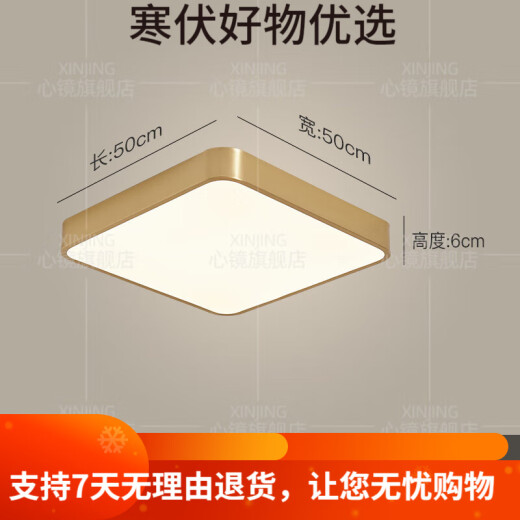CLCEY全铜户外吸顶灯别墅大门口门前灯室外过道阳台灯防蚊虫庭 X3895-4 X3893-800/方形