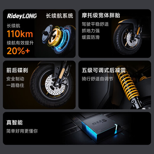 九号（Ninebot）九号电动新品Fz 110电动自行车9号智能锂电【门店自提】 到门店选颜色