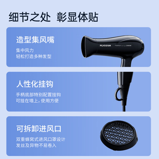 Secador de pelo de flyco para el hogar Aire caliente y fría cuidado de aire frío para el cabello seco de secado rápido 2000W Alta potencia FH6231