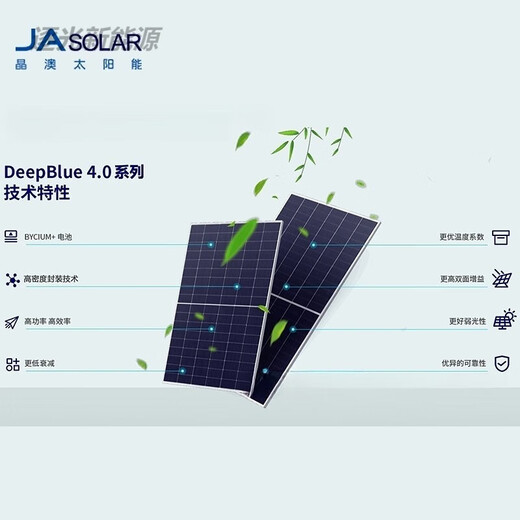 晶澳双玻太阳能板光伏组件 JAM66D46 LB690/695/700/705/710/715W JAM66D46 LB 705W 双玻
