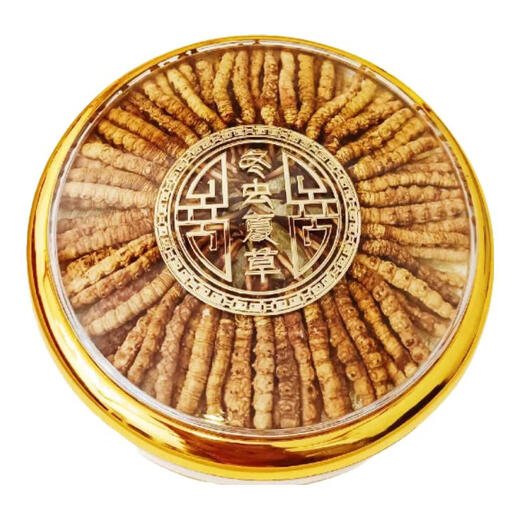 Premium Cordyceps sinensis 200/100/50/30 gift boxes for elders 0.5 grams each premium Cordyceps sinensis 0.5 grams each premium Cordyceps sinensis Nagqu, Tibet 30