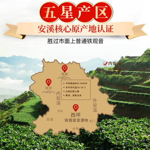传奇会乌龙茶 安溪铁观音 清香型特级500g轻火茶叶礼盒装新茶自己喝送礼