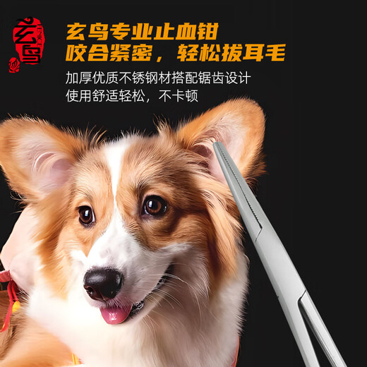 Xuanniao pet hemostatic forceps stainless steel pet ear hair plucking pliers elbow straight head pet hair plucking forceps S size straight head hemostatic forceps