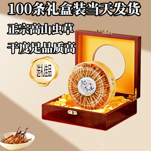 Ausgewählte Cordyceps sinensis cordyceps sinensis hoher Höhe des Kopfstadiums Cordyceps sinensis Geschenkbox verfügbar. 2 1 Gramm Cordyceps sinensis in Tibet Nago Cordyceps sinensis 2 Stücke Cordyceps sinensis 1 Gramm