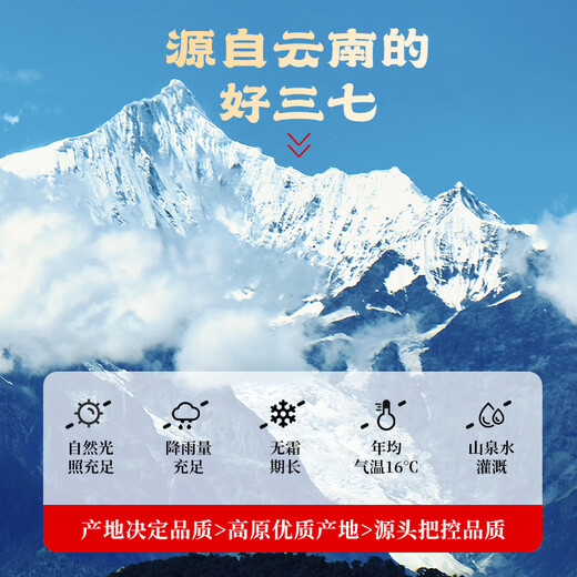 Piijing Tongrentang Panax Notoginseng Powder auto-opéré dans le Yunnan Wenshan 20G Circulation sanguine, stase, gonflement et soulagement de la douleur Vomissement du sang, traumatisme de selles de sang, saignement, gonflement et douleur Médectes chinoises