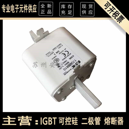 XMSJ/6811/6812/16813/6814全新伊顿熔断器保险熔芯 170M6810