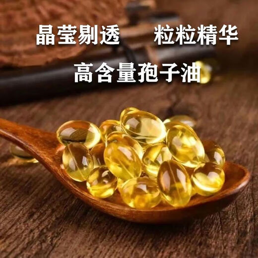 北京同仁堂正宗灵芝孢子油批发长白山灵芝孢子油灵芝孢子粉提取高灵芝三萜 加量不加价-全家享用 【提高免疫力】1瓶120粒