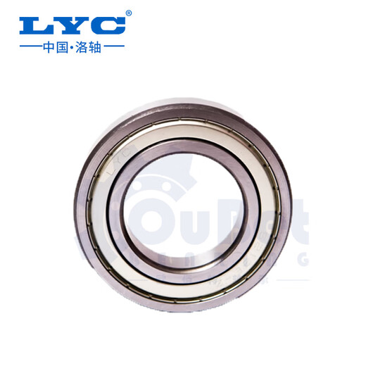 Authentischer Punkt Deep Groove Ball Lyc Luoyang Bears 6214 6215 6216 6217 6218 6219 6220 Luoyang Bearing 6221E-2Z (Eisendichtung)