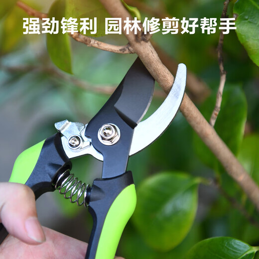 Deli garden scissors, fruit branch shears, garden pruners, branch pliers, household pruning scissors, fruit branch scissors lock design
