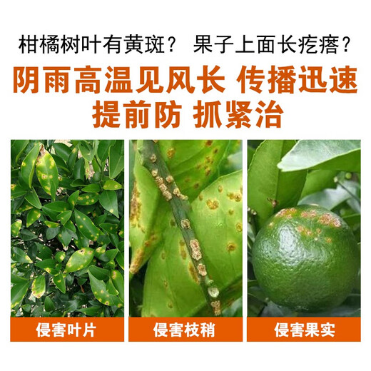 True canker, unique citrus peach tree, fruit tree and vegetable canker, soft rot bacterial perforation, 1 billion live bacteria microbial agent, citrus canker special 1000g*10 bags