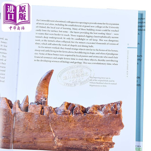 预售 50种化石中的恐龙史 英文原版 A History of Dinosaurs in 50 Fossils Paul M Barrett 古生物学家