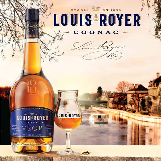Louis Royer VSOP Cognac imported from France, foreign wine and spirits, good choice for business gifts Louis Royer VSOP 700mL 6 bottles