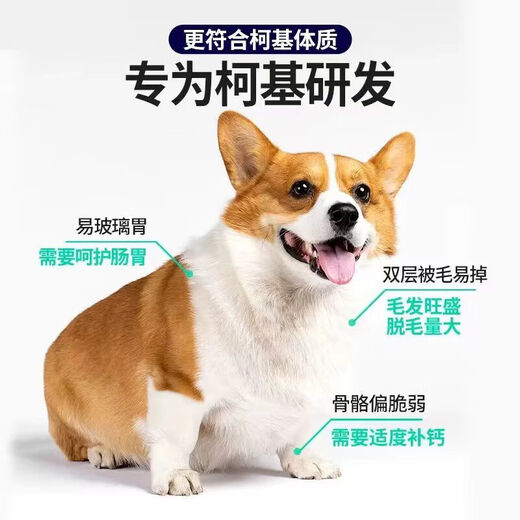 Baichan high-end Corgi full-stage dog food for adult dogs and puppies, beautiful coat, light tear stains, fattening and calcium supplement, universal 5 Jin Jin equals 0.5 kg. Corgi full-stage dog food 5 Jin Jin equals 0.5 kg (small grains)