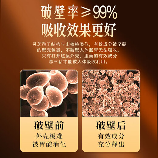 Pékin Tongrentang Breaking Wall Ganoderma Lucidum Spore Powder Boad Boad pour les aînés et les personnes âgées d'âge moyen et âgé