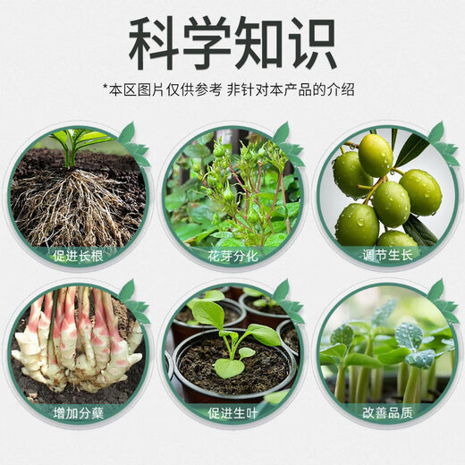 Xiannong 0.1% Triacontanol Wheat, Rice, Potato, Fruit Tree and Vegetable Preserving Flowers, Fruits and Strong Root Growth Regulator