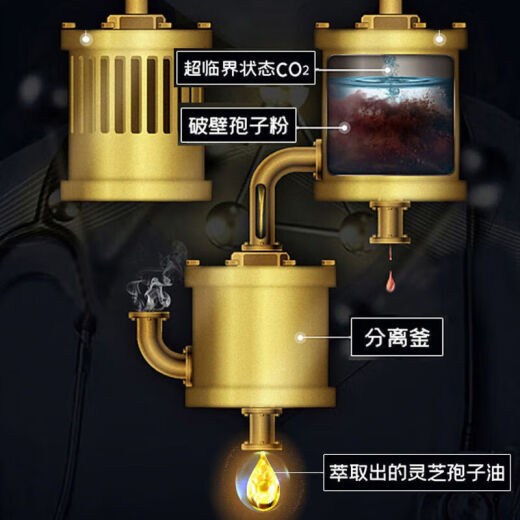 SCHIFF (SCHIFF) American brand imported Ganoderma lucidum spore oil capsules adult product broken wall Ganoderma lucidum spore powder concentrate extraction