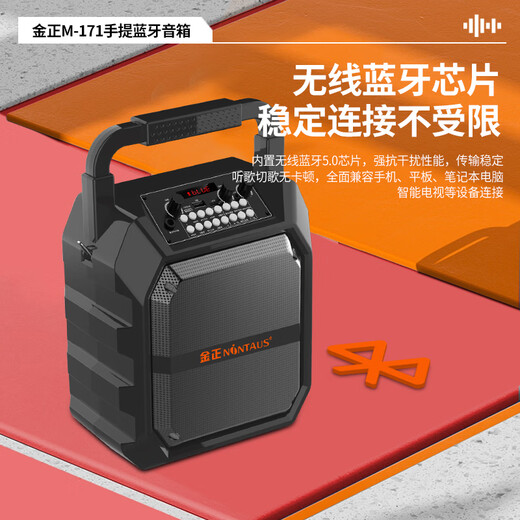 金正M171户外音响蓝牙音箱便携式大音量广场舞音响功放一体机家用ktv唱歌小型k歌麦克风手提摆摊低音炮 旗舰版【双支无线话筒】