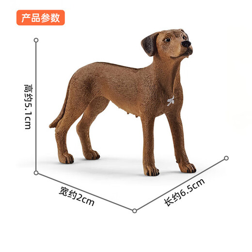 思乐（Schleich S）仿真动物模型猫猫狗狗男女孩启蒙认知3+六一儿童节礼物 罗得西亚脊背犬13895