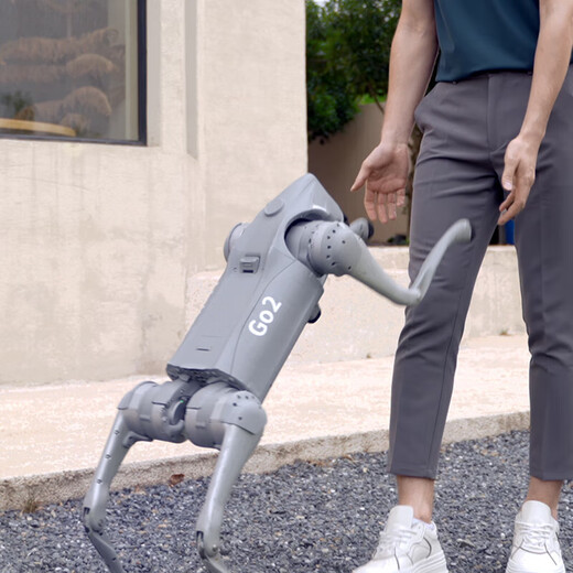 Yushu Voice AI Big Model Maschinenhund verkörperte intelligente bionische Begleitung vierbeiniger Roboter Go2-pro Long Battery + Fernbedienung