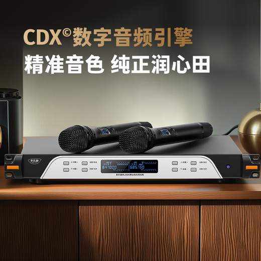 Melody digital pre-amp effector, professional karaoke audio amplifier, karaoke home ktv reverberator, audio processor anti-howling feedback suppressor, wireless microphone set DSP6300 Pro+ML3208 microphone (set)