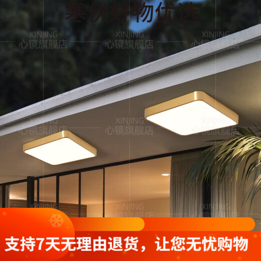 CLCEY全铜户外吸顶灯别墅大门口门前灯室外过道阳台灯防蚊虫庭 X3895-4 X3893-800/方形