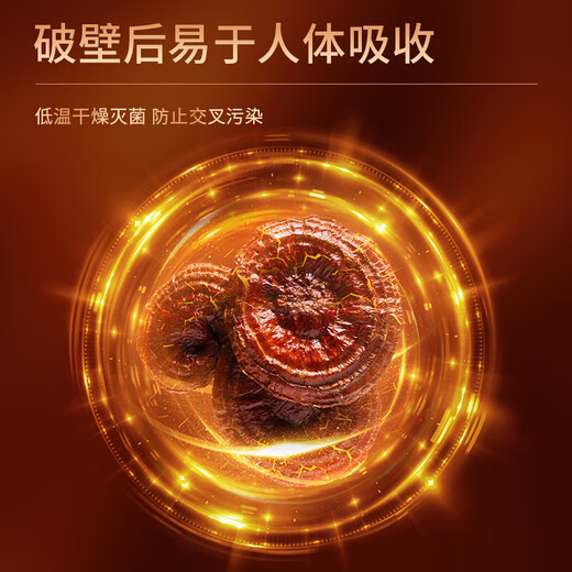 同仁堂造养青年同仁堂牌灵芝孢子粉灵芝提取物片双效增强免疫力改善睡眠 2瓶（增强免疫力 改善睡眠）
