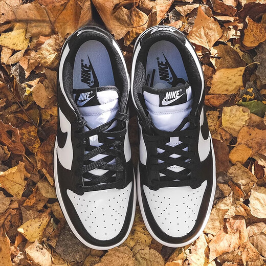 耐克（NIKE）DunkLow