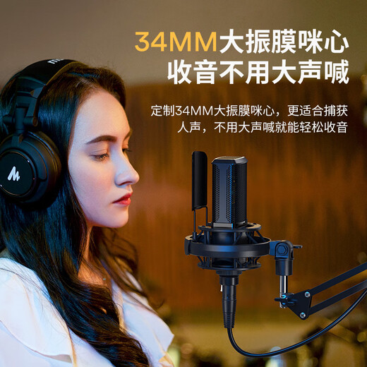 Flash PM500S condenser microphone live broadcast sound card professional large diaphragm microphone radio equipment dubbing karaoke XLR wired microphone Bobo Mai recording microphone Flash PM500S PM500S (cantilever model)