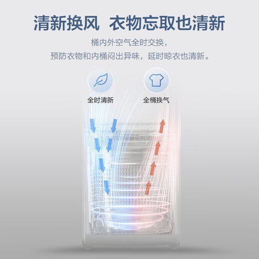 Haier (Haier) pulsator washing machine small fully automatic 8KG household XQB80-Z10D0OCC home appliances state subsidy trade-in first-class energy efficiency dormitory rental room single dehydration