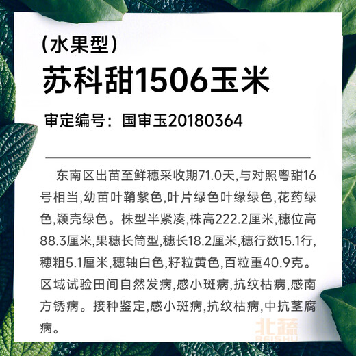 北蔬水果玉米种子黄甜玉米籽大全南北方 苏科甜1506玉米种子 20粒/袋