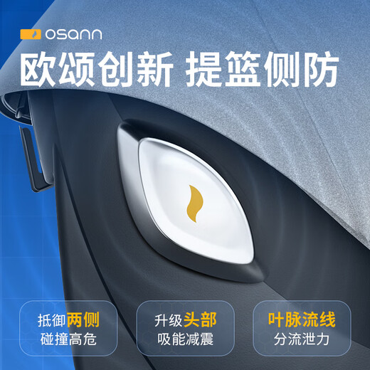 Osann (Osann) Germinación Baby Baby Casking Safety SEAT CAR Portable Car Baby Cradle