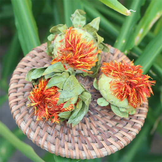 
Beijing Tongrentang safflower fruit authentic sulfur-free Tibetan saffron high-quality Chinese medicinal material saffron 500g safflower soaked in water and tea 100g safflower fruit (big new flower)
