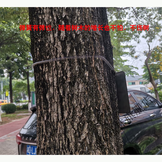 Stainless steel 304 tension spring chain hanging plant Chinese herbal tree brand spring stainless steel spring 20x0.6cm