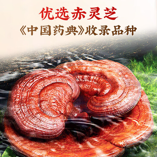 北京同仁堂破壁灵芝孢子粉 增强免疫力 灵芝粉手术后恢复营养品中老年人补品 4盒 120g 【加送礼袋】