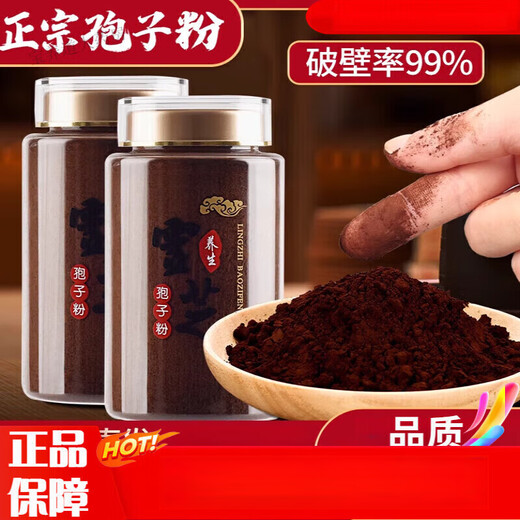 Changbai Mountain Linzhi Bun Powder, Ganoderma Spore Powder Enhanced I Strong Broken Ganoderma Spore Powder Forest, 500 g, erhalten Sie 2 Flaschen