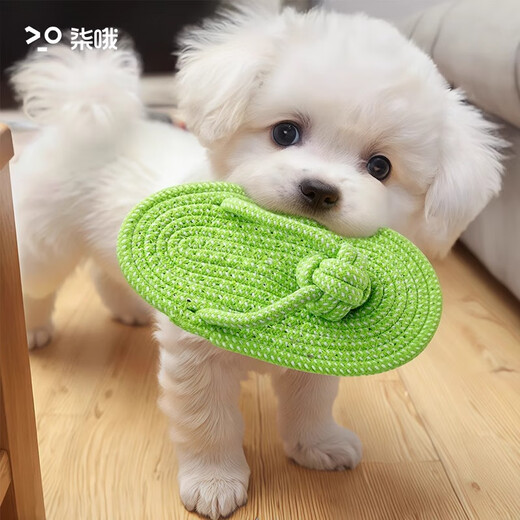 Qi Oh dog tug-of-war toy, knotted dog chewing rope toy, oversized slippers, carrot puppy resistant to chewing and grinding teeth, pet toy, small rope knotted slippers