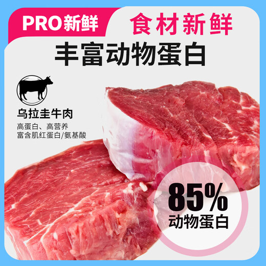 Dingxin dog food 40Jin Jin is equal to 0.5kg, packed with beef double combination, general dog food, puppies, elderly dog food, dog training, small, medium and large adult dog food, beef grain double combination, 5kg-10Jin Jin is equal to 0.5kg