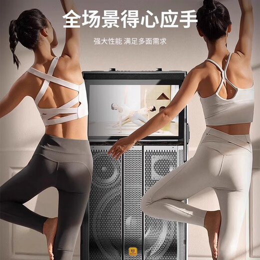 贝德贝德音响视域系列1505户外K歌广场舞显示屏高端视频高清大屏音箱 贝德1504/12寸低音/500G内存