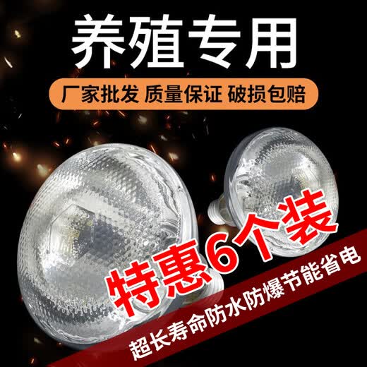 Yanmeng Insulation Lamp Farm Special Pig Breeding Chick Heating Lamp Piglet Rutin Chicken Warming Baking Lamp Bulb Warming Lamp Special Offer 6pcs Upgraded White Glossy 100W