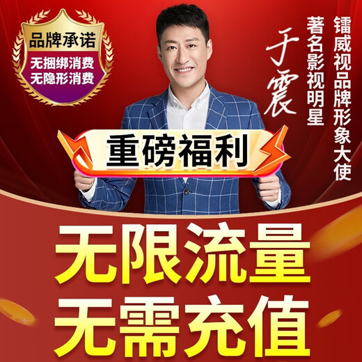 镭威视4g三摄像头终身免流量监控器360度无死角带夜视全景手机远程AI摄像头无需网络无需wifi农村室外 4G免充值】三摄三画面+64G