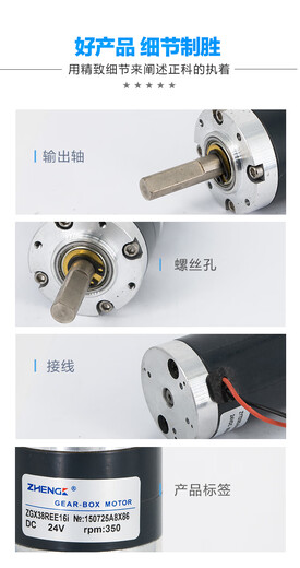 XMSJZGX38REE 12V24V mit Pferd Zytd38S-R Planetary Getriebemotor Reduzierverhältnis 12141-3125