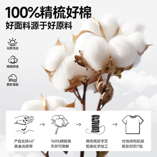Miniso (miniso) à manches courtes coton pur coton décontracté rond rond rond