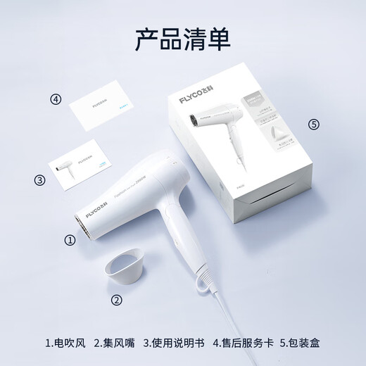 飞科（FLYCO）电吹风机宿舍用柔风恒温护发家用冷热大风量快速干发吹风筒 FH6232
