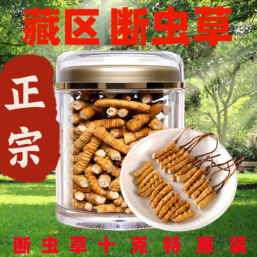 正宗藏区高海拔冬虫夏草断草整肉节10克大瓶装自用家庭装干货正品 西藏那曲精品整肉节5克