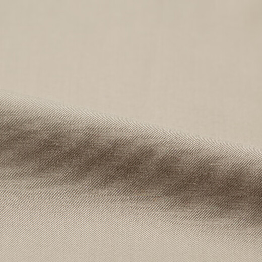 Jinba men's mulberry silk business casual commuting spring and autumn long-sleeved orthodox shirt for men | BAXT1902 milk coffee L